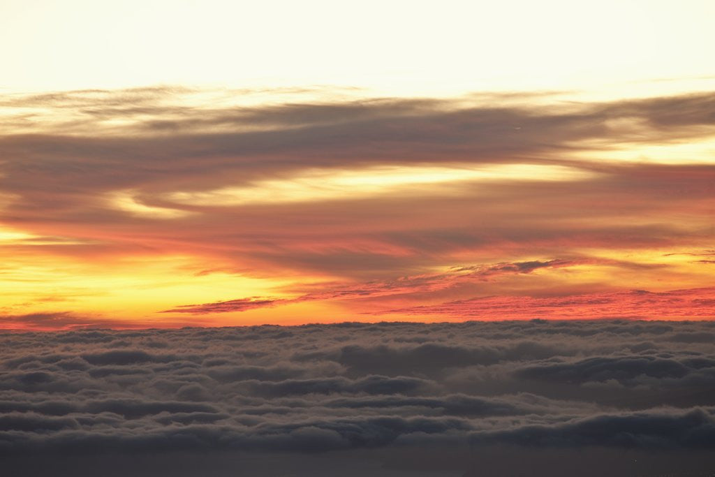 Detail of Sea at sunset, Teide National Park, Tenerife, Canary Islands, Spain by Anonymous