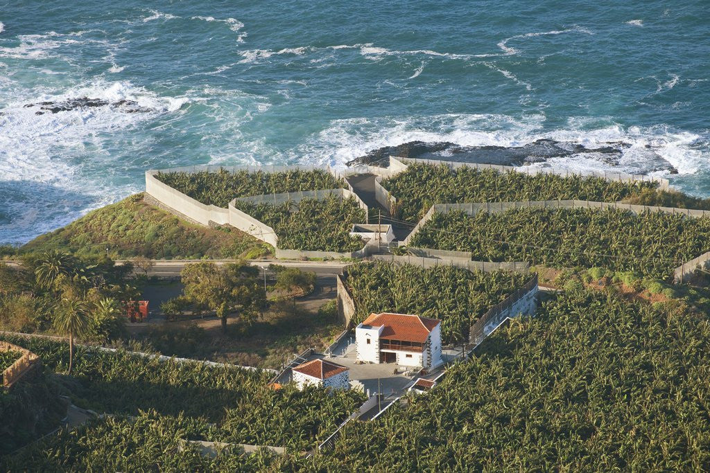 Detail of Lookout over Garachico coastline, Tenerife, Canary Islands, Spain by Anonymous