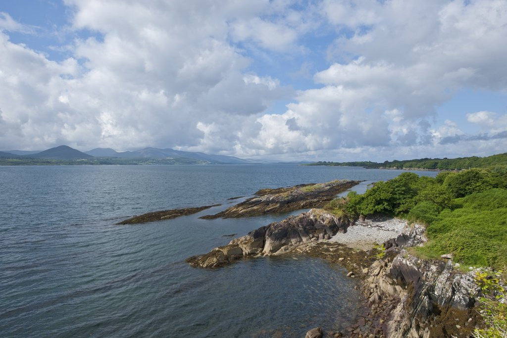 Detail of Coastline near Kenmare, Ring of Kerry, Kerry County, Ireland by Anonymous