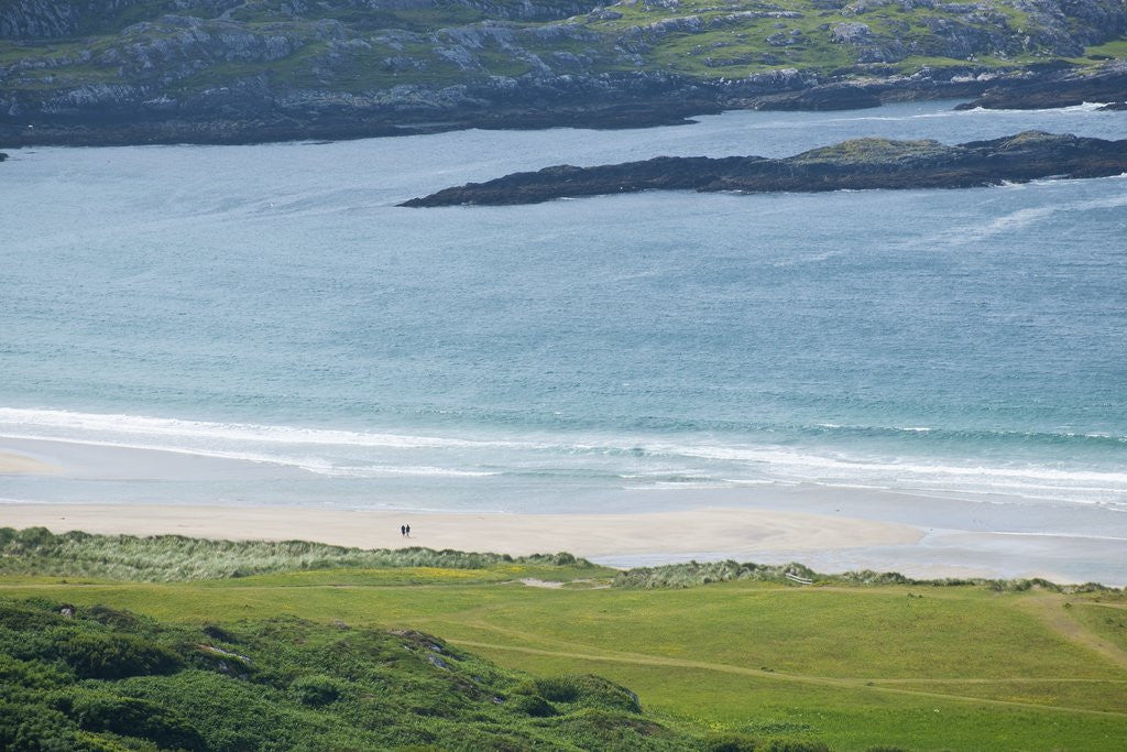 Detail of Sea coast, Derrynane National Historic Park, Ring of Kerry, Kerry County, Ireland by Corbis