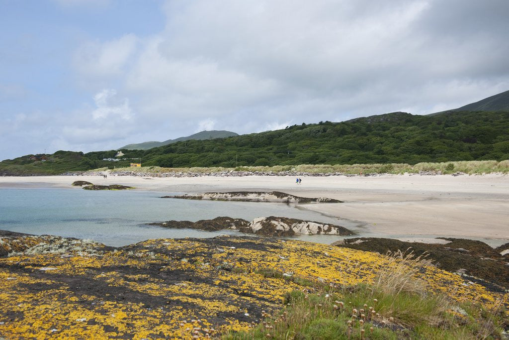 Detail of Sea coast, Derrynane National Historic Park, Ring of Kerry, Kerry County, Ireland by Anonymous