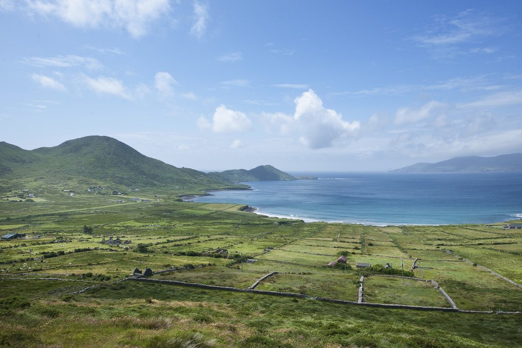 Detail of Landscape near Waterville, Ring of Kerry, Kerry County, Ireland by Anonymous