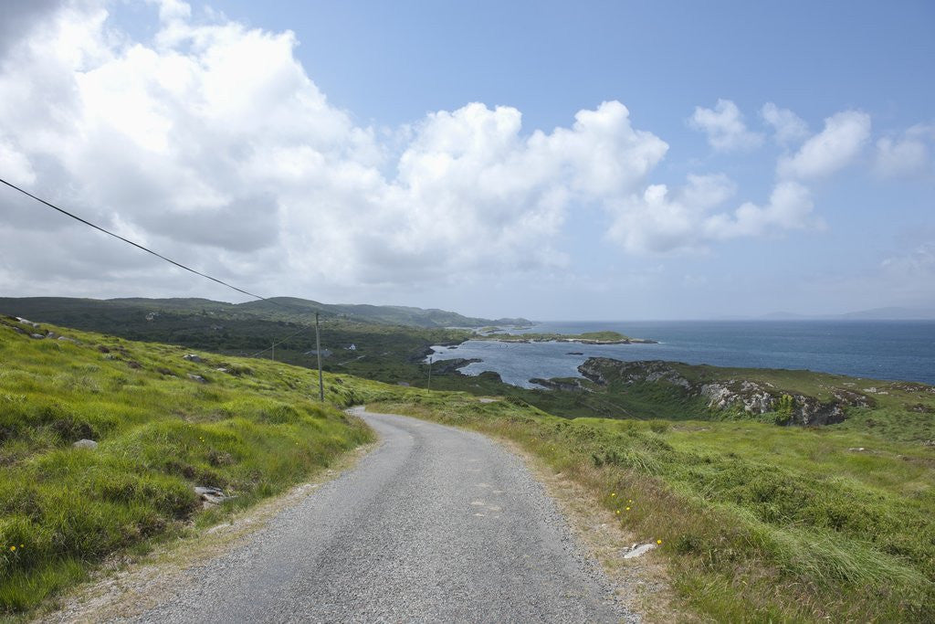 Detail of Kilcatherine Point road, Ring of Kerry, Kerry County, Ireland by Anonymous