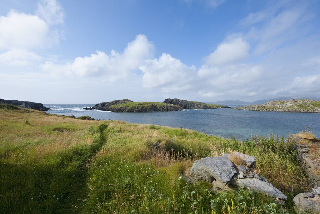 Detail of Ballydonegan Bay, Ring of Kerry, Kerry County, Ireland by Anonymous