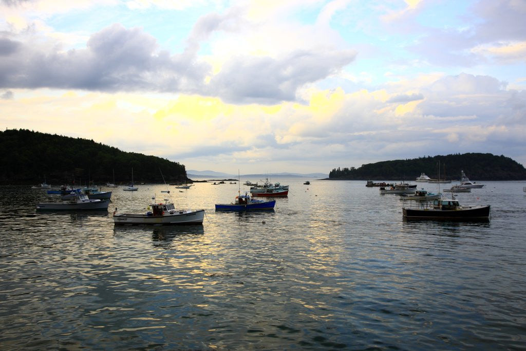 Detail of Boats on water, Acadia National Park, Maine, USA by Anonymous
