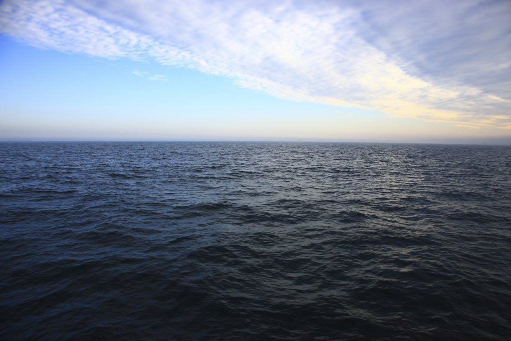 Detail of Seascape, Acadia National Park, Maine, USA by Anonymous