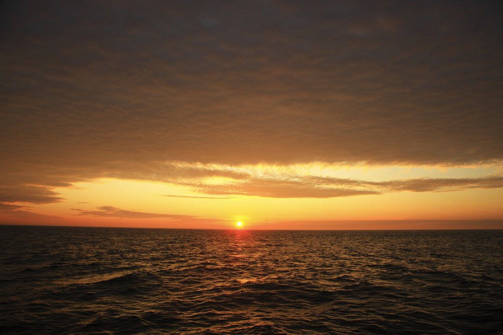 Detail of Sunset over sea, Acadia National Park, Maine, USA by Anonymous