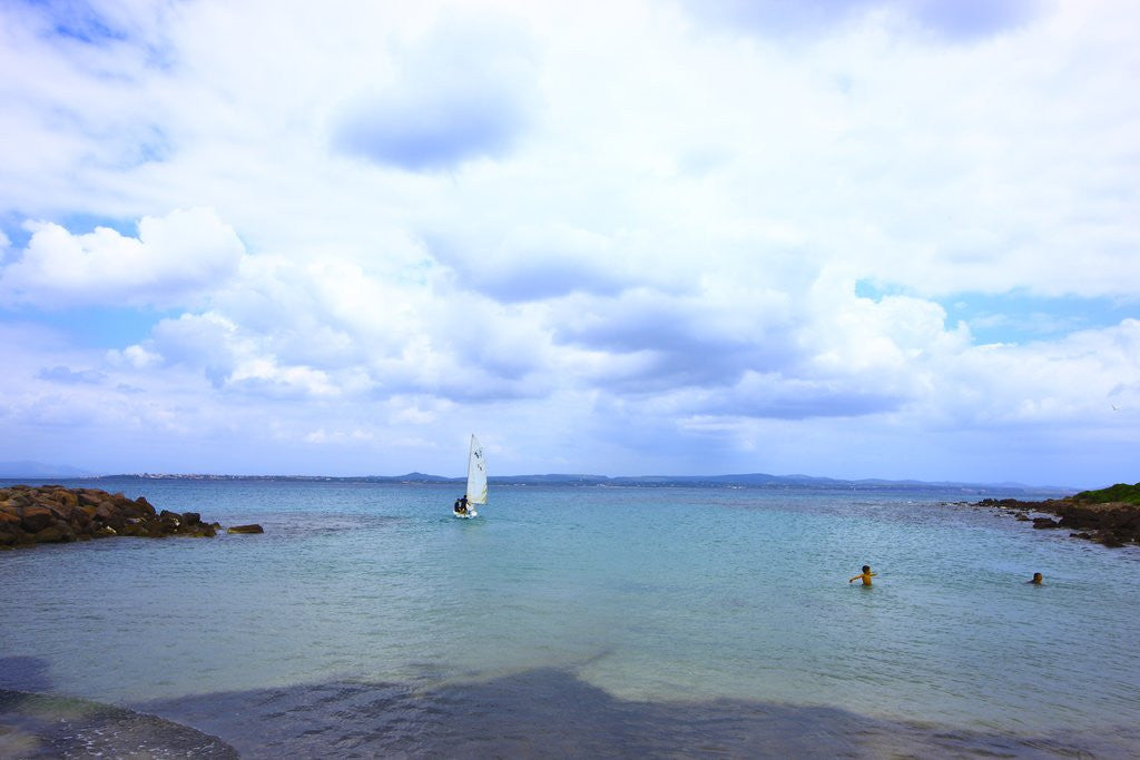 Detail of Sailing boat on sea, San Pietro island, Carloforte, Sardinia, Italy by Anonymous