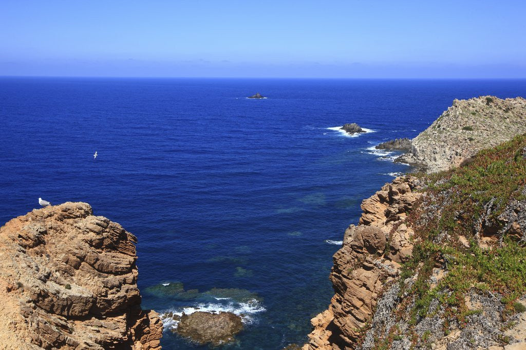Detail of Coastline, San Pietro island, Carloforte, Sardinia, Italy by Anonymous