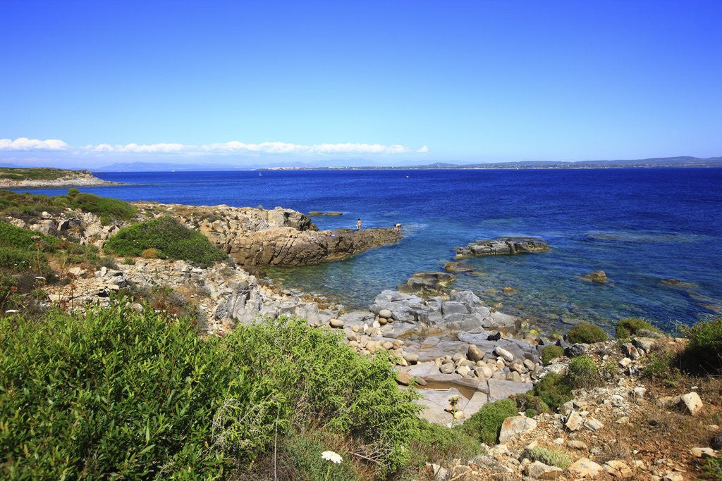Detail of Rocky coastline, San Pietro island, Carloforte, Sardinia, Italy by Anonymous