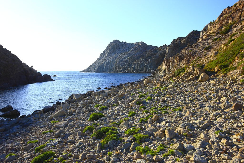 Detail of Rocky beach and sea, San Pietro island, Carloforte, Sardinia, Italy by Anonymous