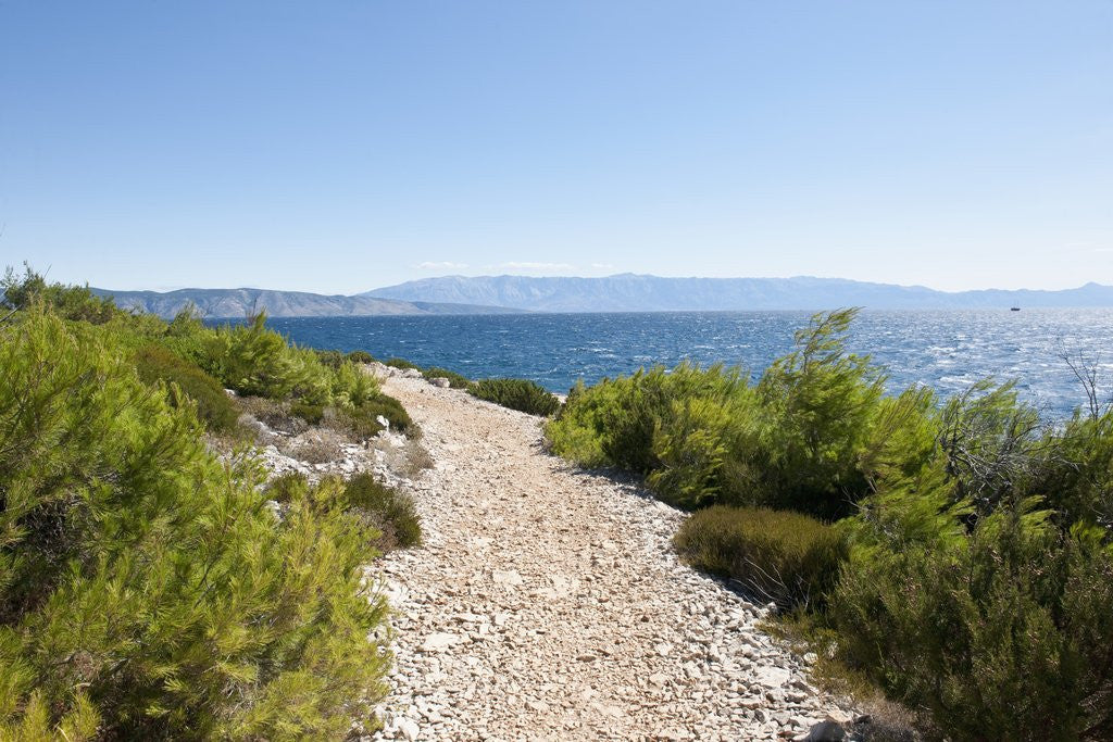Detail of Footpath by sea, near Vrboska, Hvar Island, Croatia by Anonymous
