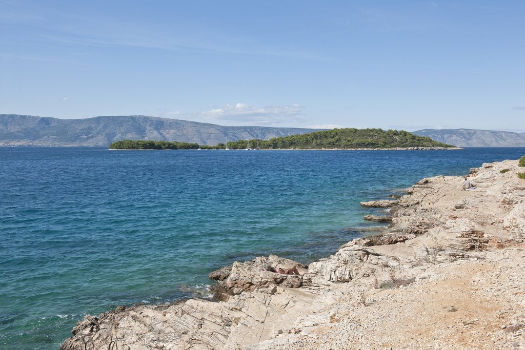 Detail of Coastline, near Vrboska, Hvar Island, Croatia by Anonymous