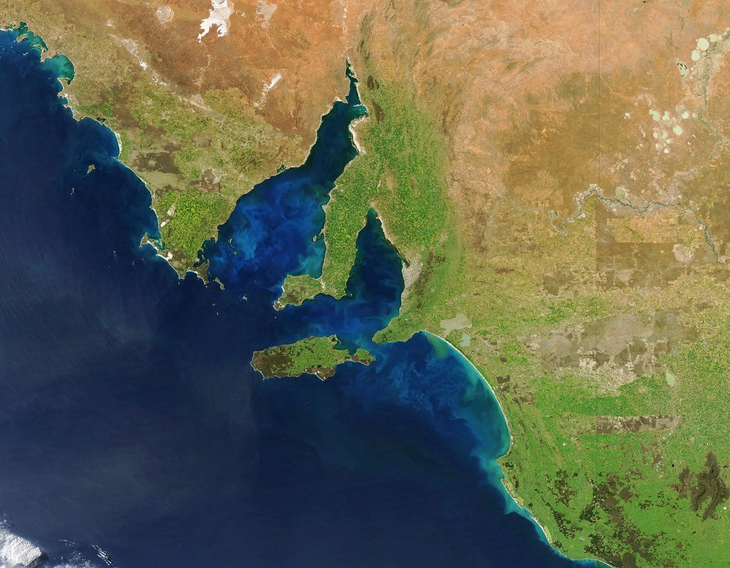 Detail of Phytoplankton blooms off South Australia by Corbis