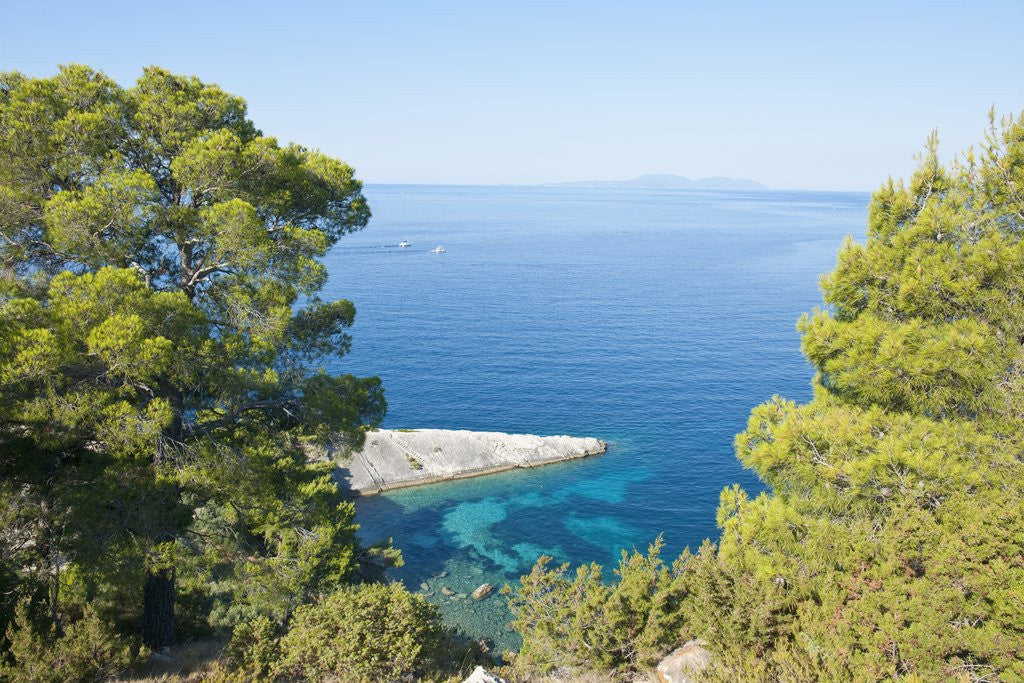 Detail of Zarace bay, Hvar Island, Croatia by Anonymous