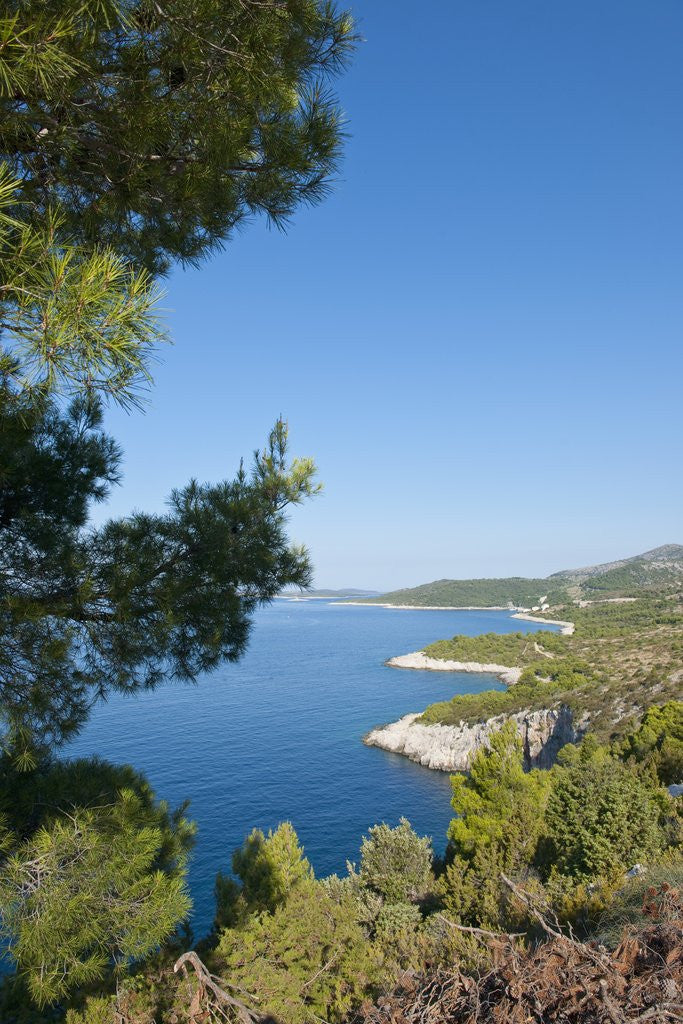 Detail of View of Zarace bay, Hvar Island, Croatia by Anonymous