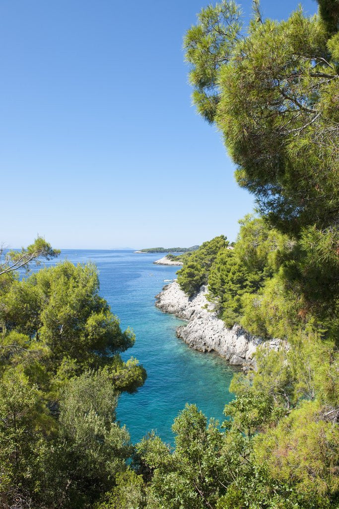 Detail of Coastline, Korcula island, Croatia by Anonymous