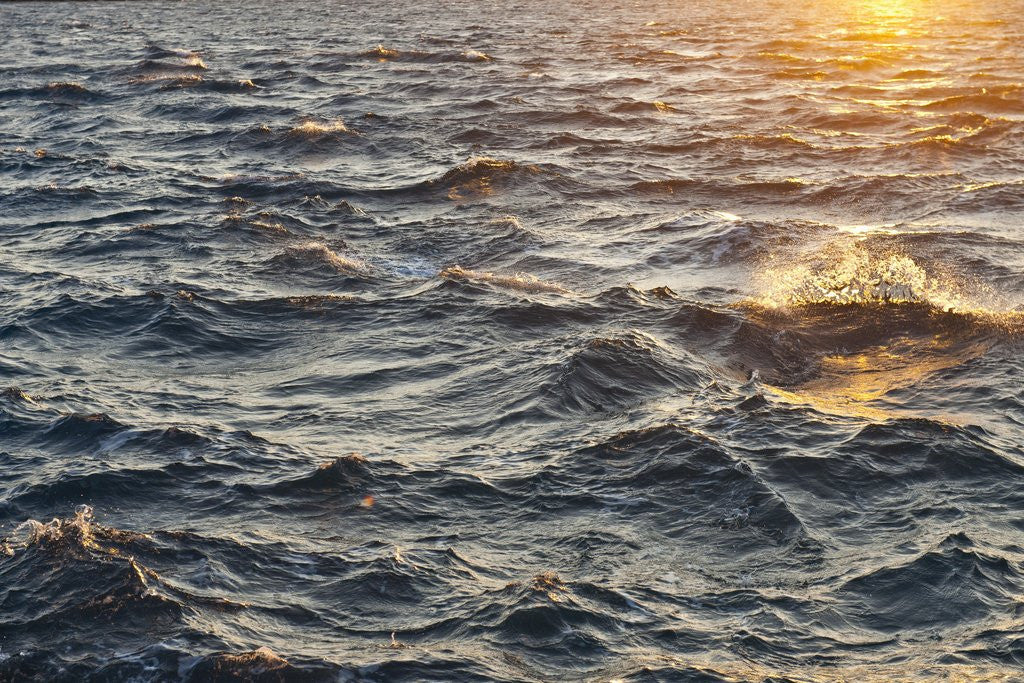 Detail of Sea at sunset, Korcula island, Croatia by Anonymous