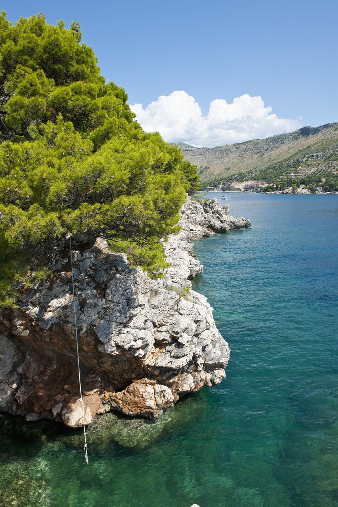 Detail of Beach near Zaton, Dubrovnik, Croatia by Anonymous