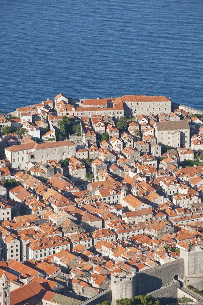 Detail of View of old town, Dubrovnik, Croatia by Anonymous