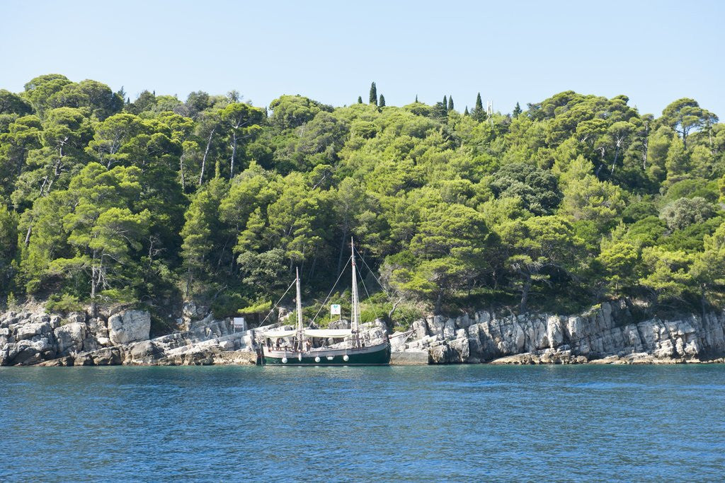 Detail of Coastline, Lokrum Island, Dubrovnik, Croatia by Anonymous