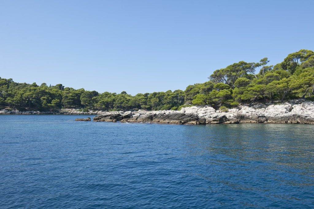 Detail of Coastline, Lokrum Island, Dubrovnik, Croatia by Anonymous