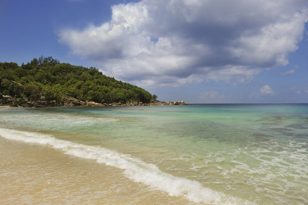 Detail of Takamaka beach, Mahe, Seychelles, Indian Ocean islands by Anonymous