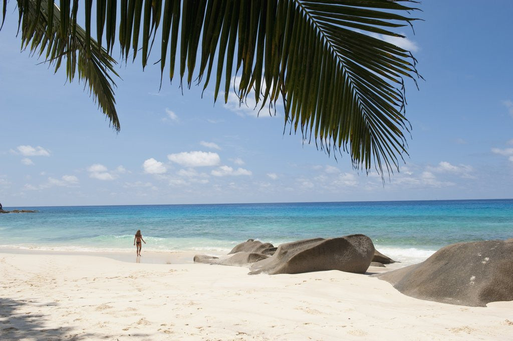 Detail of Beach at North East point, Mahe, Seychelles, Indian Ocean islands by Anonymous