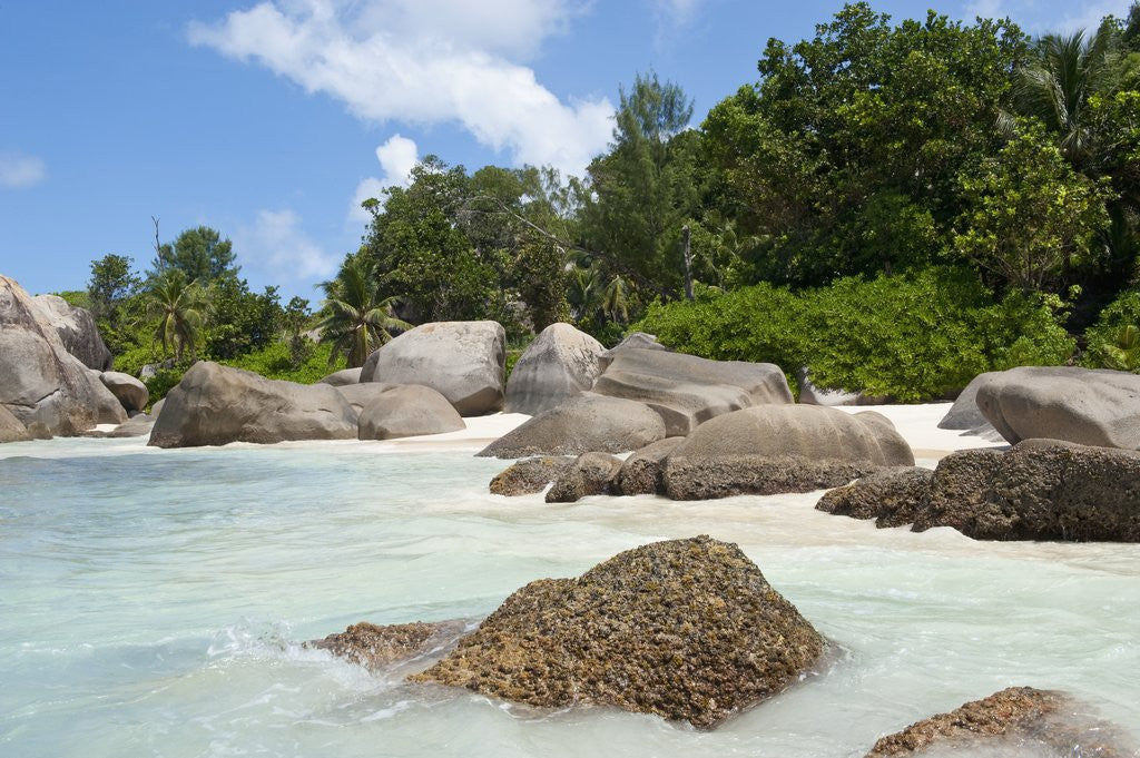 Detail of Beach at North East point, Mahe, Seychelles, Indian Ocean islands by Anonymous