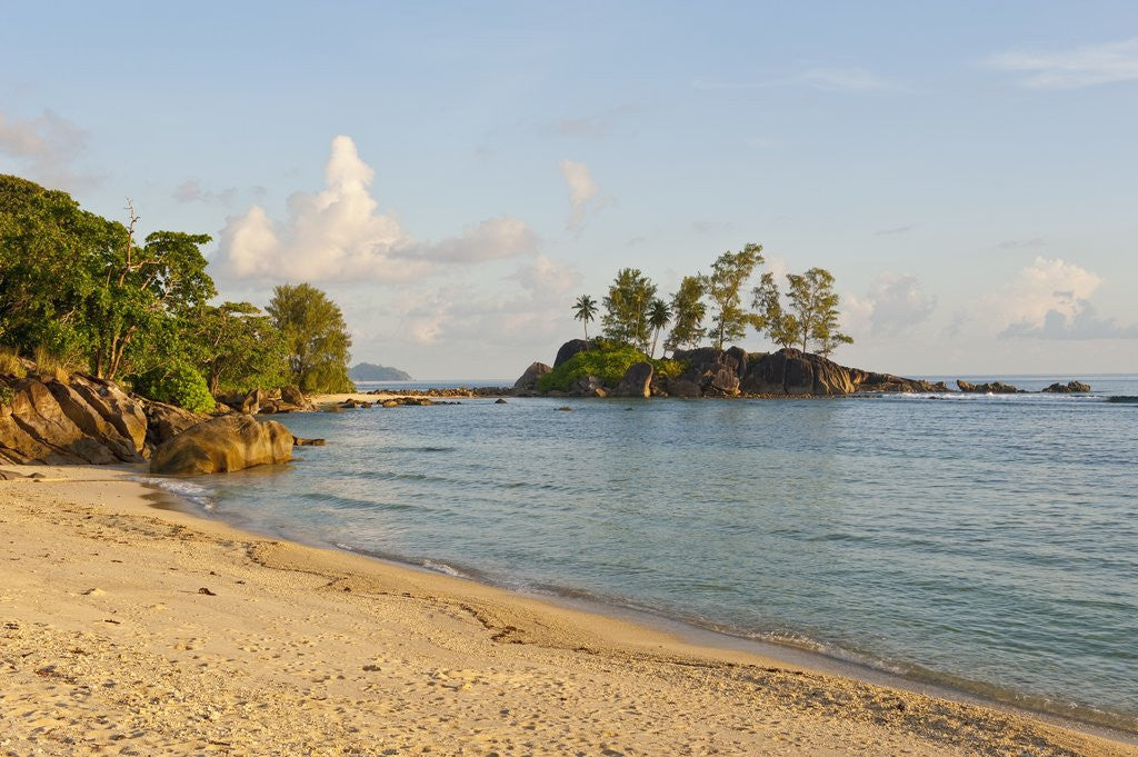 Detail of Petite Ile at Port Glaud, Mahe, Seychelles, Indian Ocean islands by Anonymous