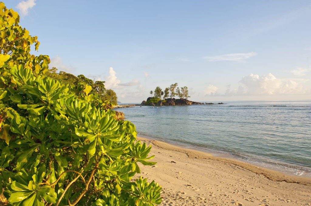 Detail of Petite Ile at Port Glaud, Mahe, Seychelles, Indian Ocean islands by Anonymous