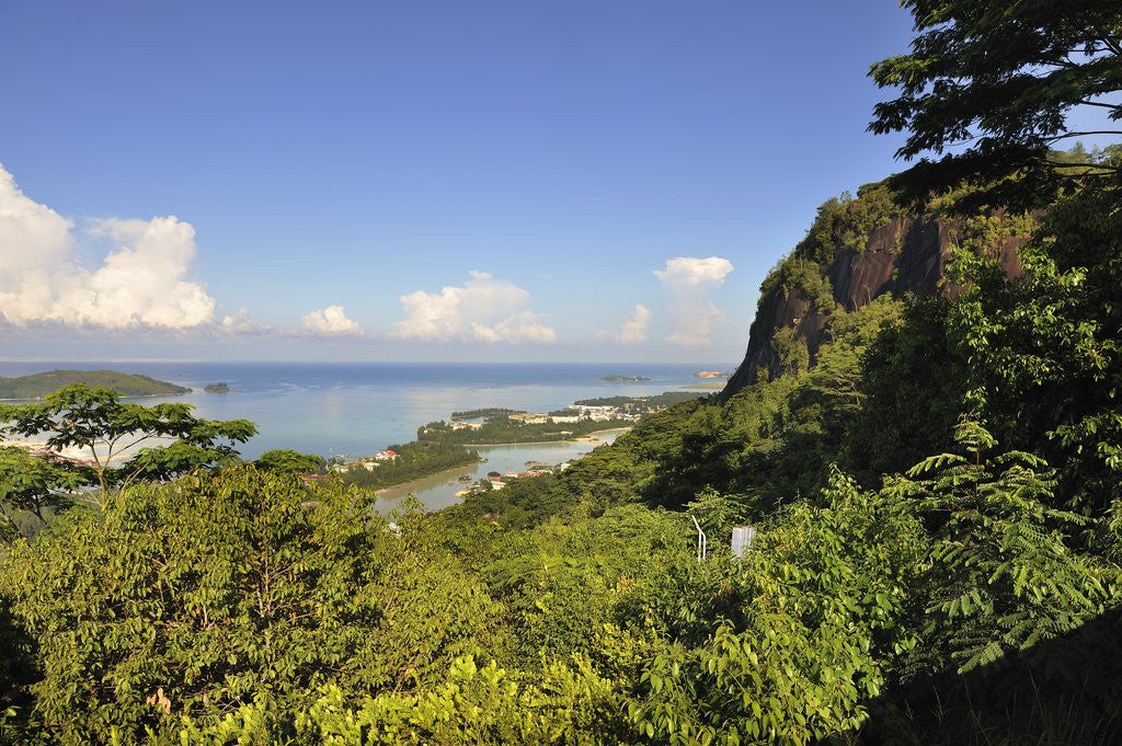 Detail of Victoria Harbor view from Bellevue, Mahe, Seychelles, Indian Ocean islands by Anonymous