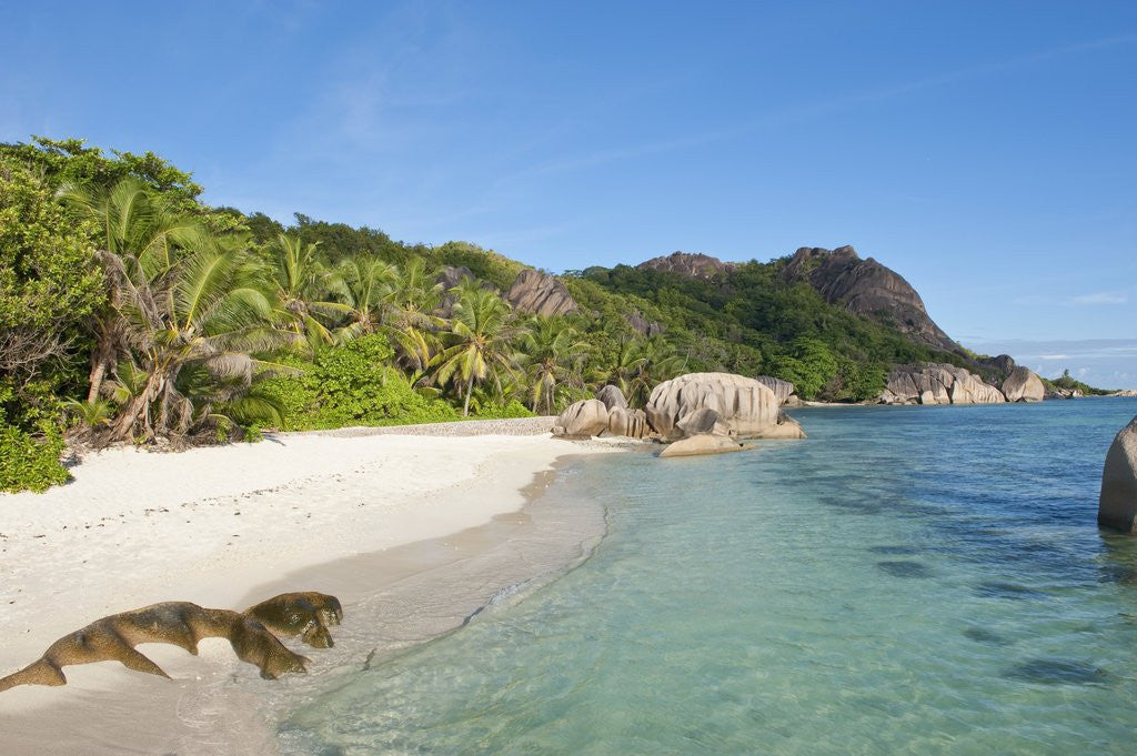 Detail of Source d'Argent Beach, La Digue, Seychelles, Indian Ocean Islands by Corbis