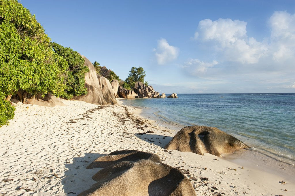 Detail of Source d'Argent Beach, La Digue, Seychelles, Indian Ocean Islands by Anonymous