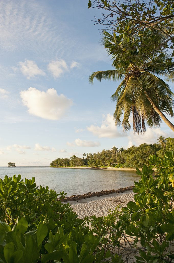 Detail of Source d'Argent Beach, La Digue, Seychelles, Indian Ocean Islands by Anonymous