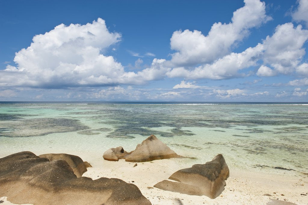 Detail of Source d'Argent Beach, La Digue, Seychelles, Indian Ocean Islands by Anonymous
