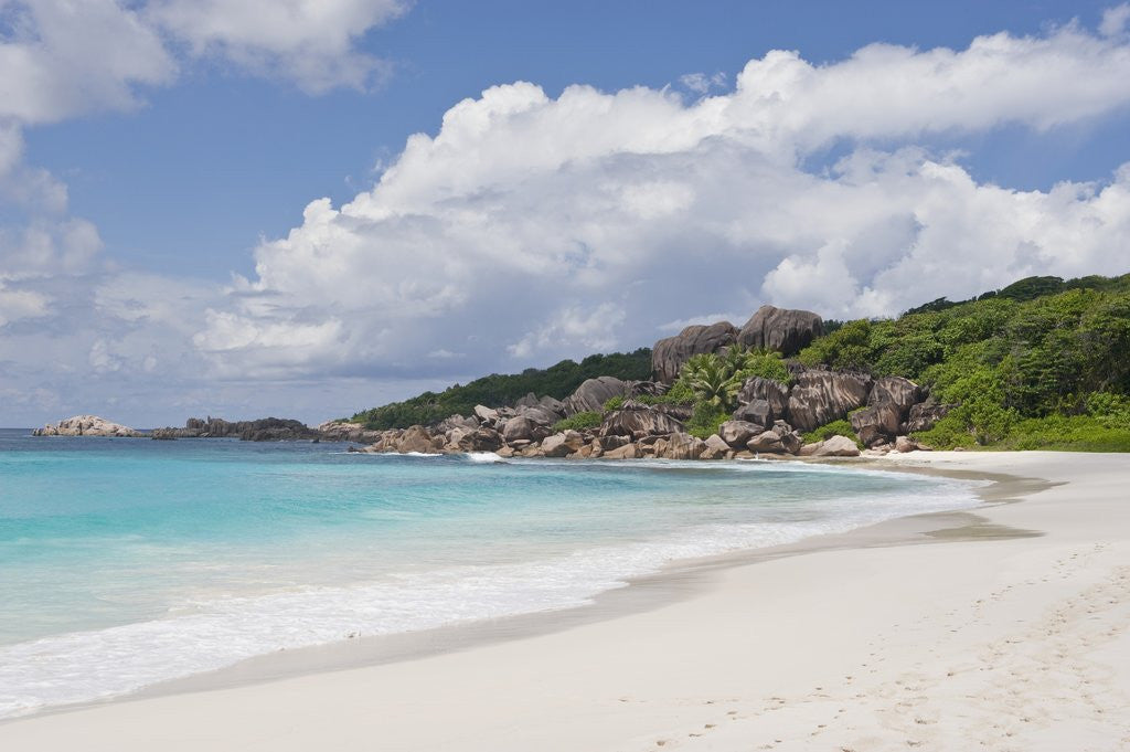 Detail of Grande Anse Beach, La Digue, Seychelles, Indian Ocean Islands by Anonymous