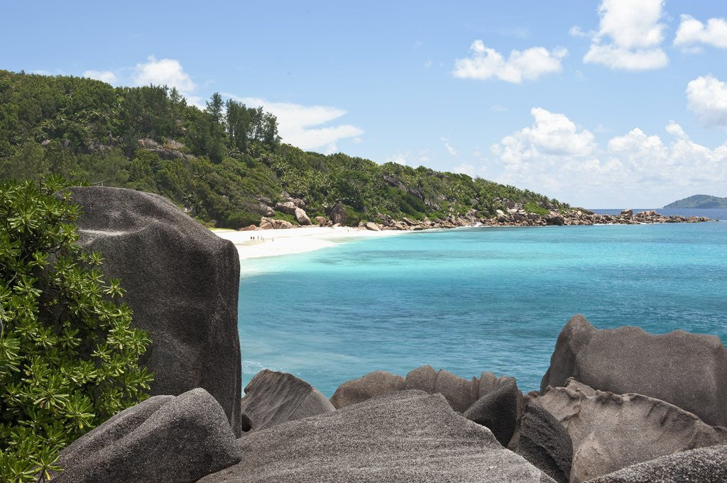Detail of Petite Anse Beach, La Digue, Seychelles, Indian Ocean Islands by Anonymous
