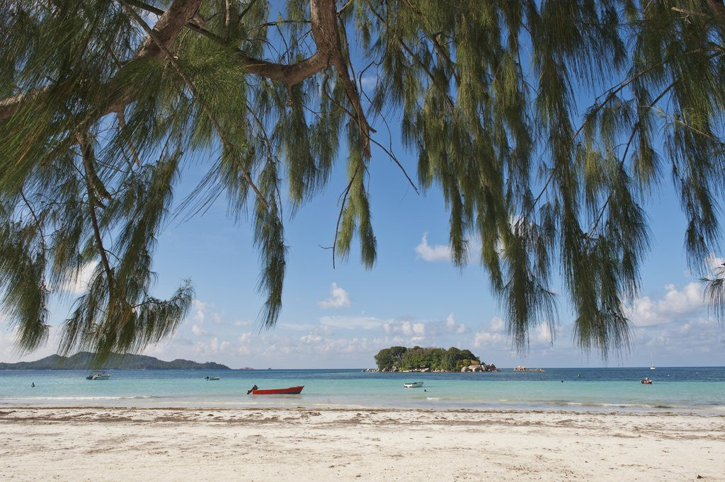 Detail of Praslin Island, Seychelles, Indian Ocean Islands by Anonymous