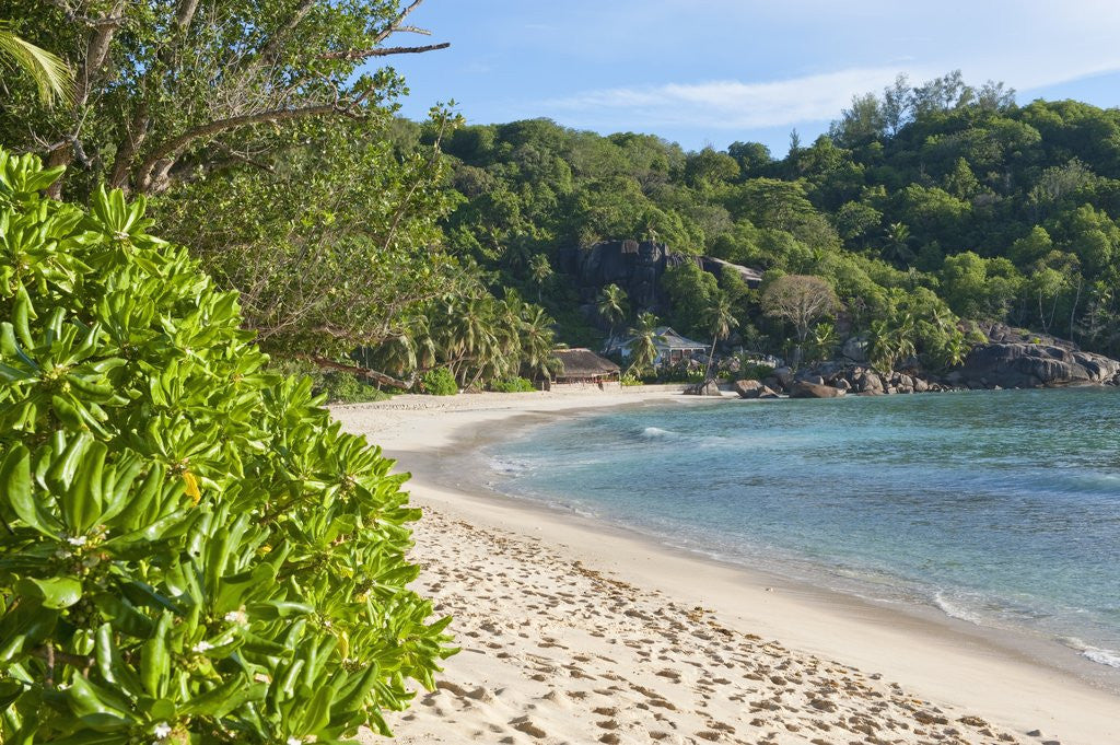 Detail of View of Takamaka Beach, Mahe, Seychelles by Anonymous