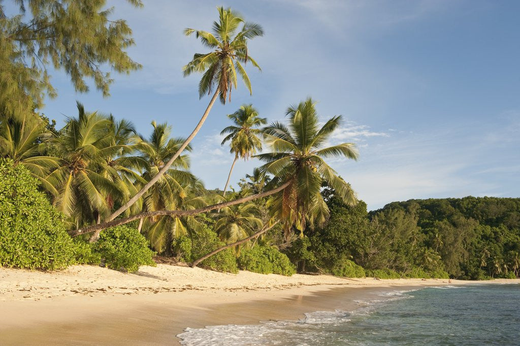 Detail of View of Takamaka Beach, Mahe, Seychelles by Anonymous