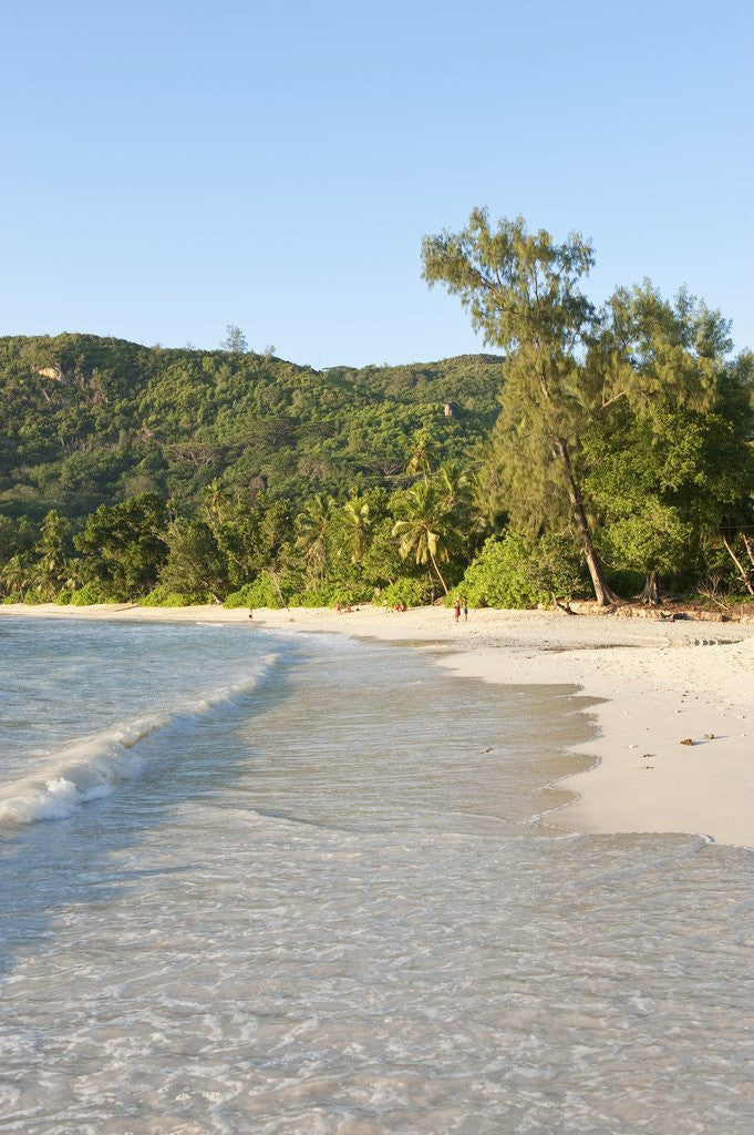 Detail of View of Takamaka Beach, Mahe, Seychelles by Anonymous