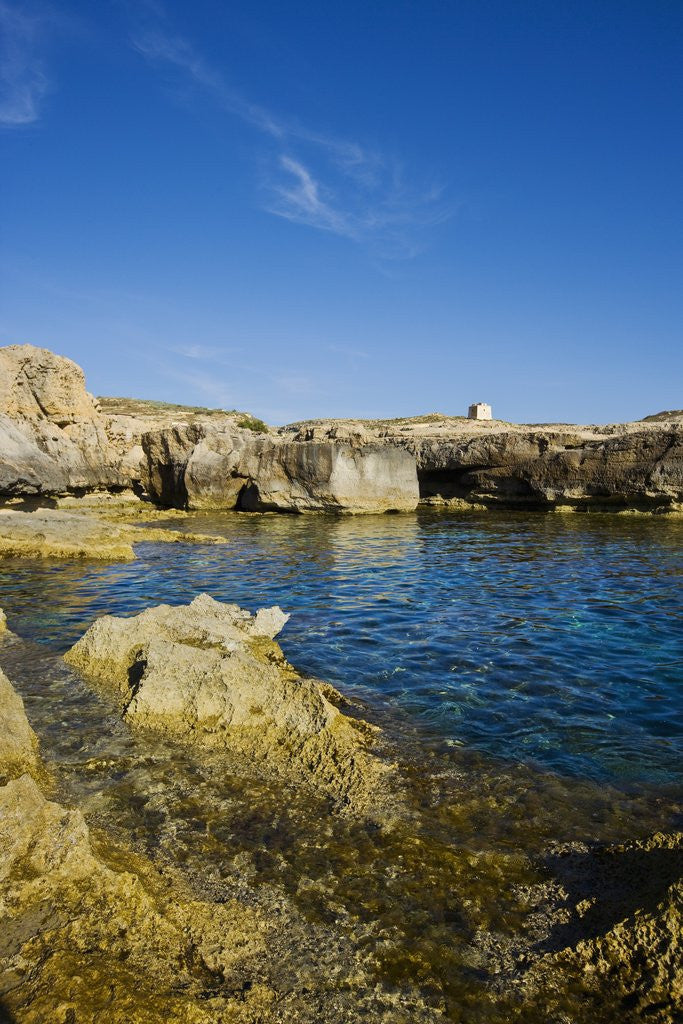 Detail of Rocky landscape near Fungus Rock, Dwejra, Gozo, Malta by Anonymous