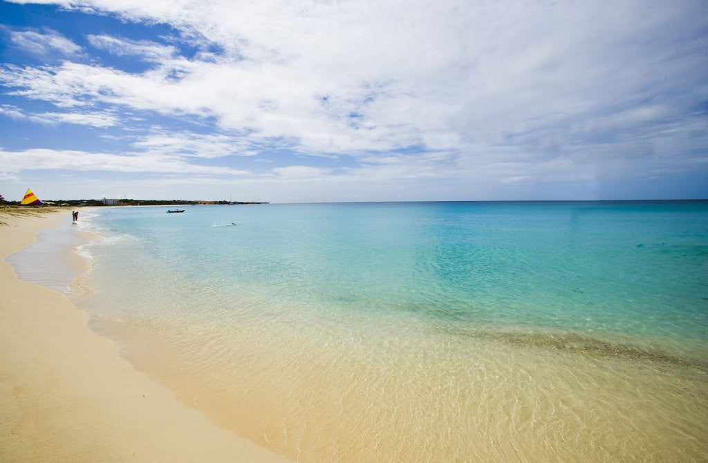 Detail of Landscape with beach and turquoise sea, Meads Bay, Anguilla, Lesser Antilles by Anonymous