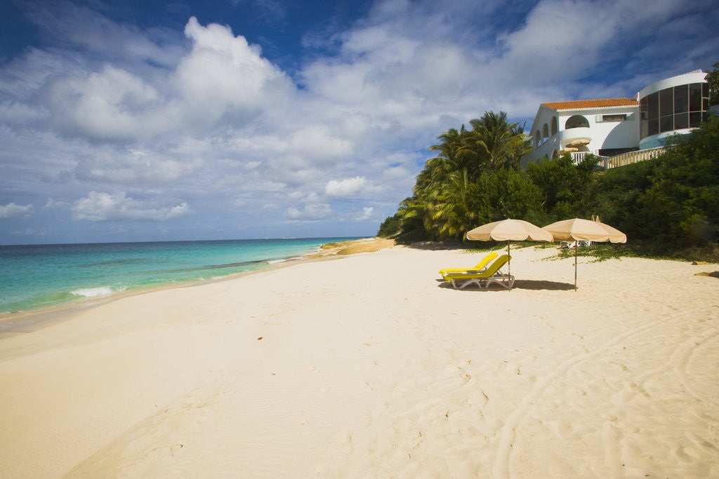 Detail of View of Turtle Cove beach, Lesser Antilles, Anguilla by Anonymous