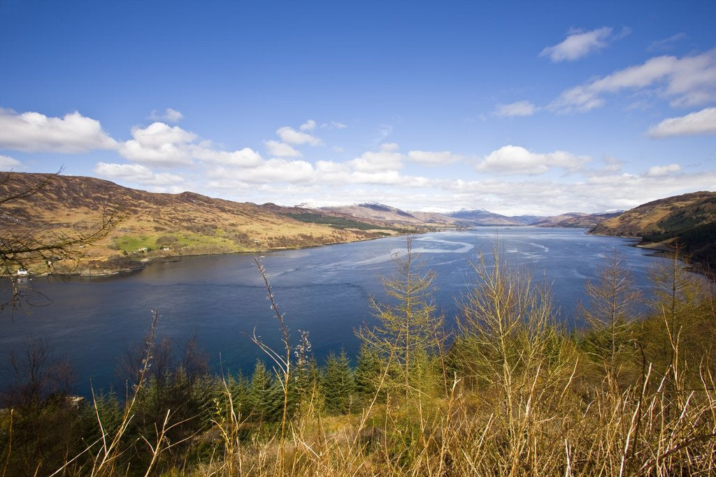 Detail of Scenic view of Lochcarron, Scotland, United Kingdom by Anonymous