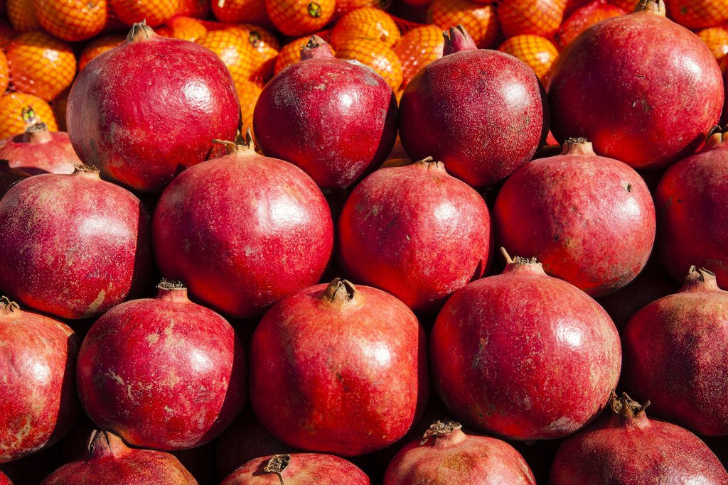 Detail of Pomegranates in Carmel Market by Anonymous
