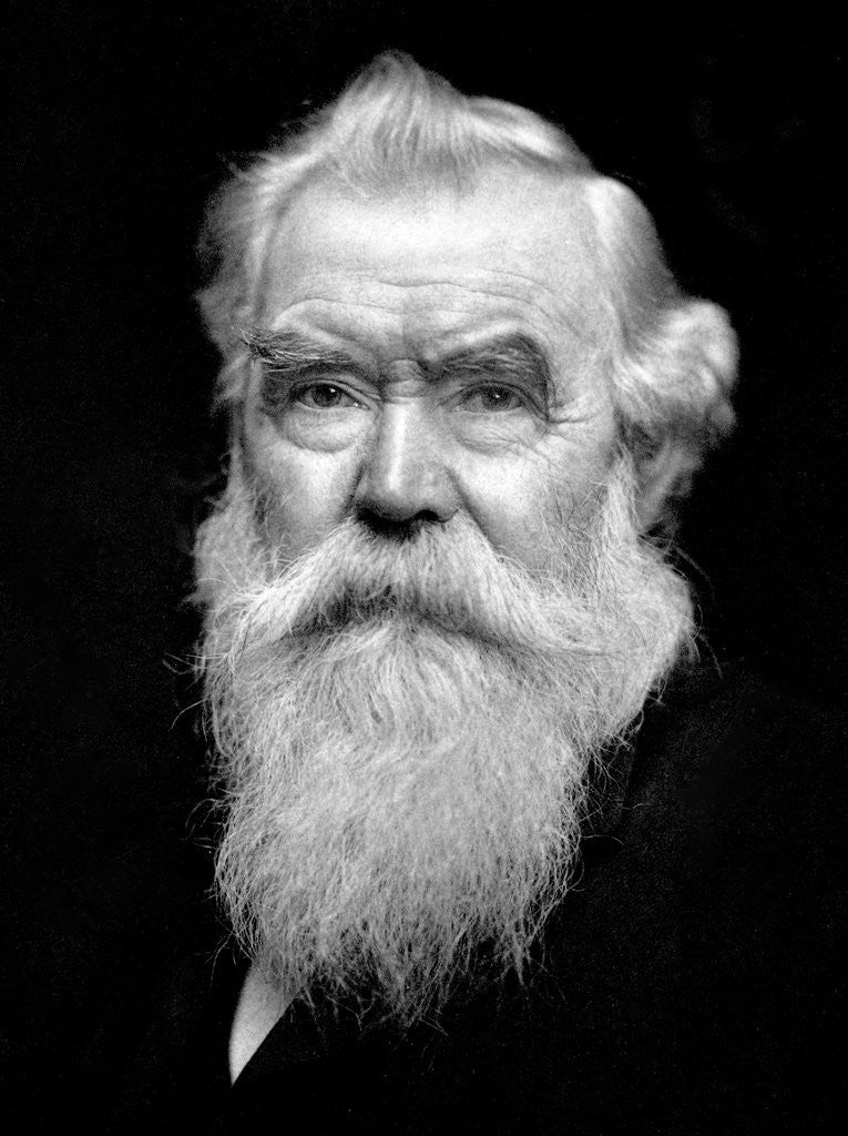 Detail of Senior man portrait, ca. 1910 by Anonymous