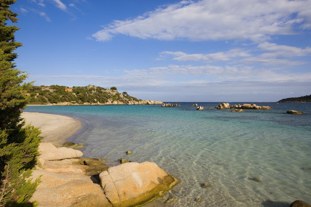 Detail of Beach near Porto Novo gulf, Corsica, France by Anonymous