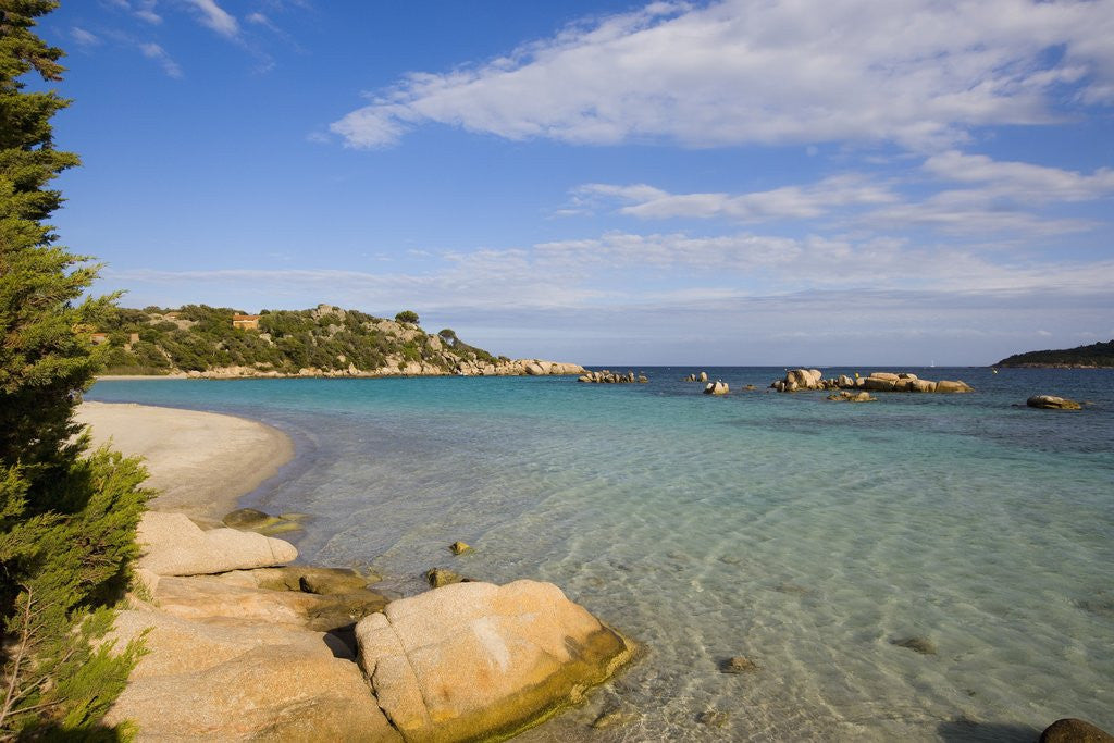 Detail of Beach near Porto Novo gulf, Corsica, France by Corbis
